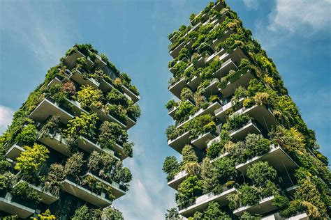Urban forests in Milan .